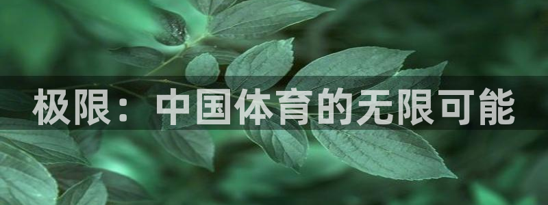 欧亿体育官方正版app代理:极限:中国体育的无限可能